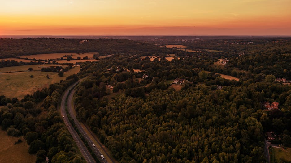An aerial view at sunset showcasing a winding motorway cutting through a lush green forested landscape in the countryside, with patches of open fields and scattered houses. The sky displays a gradient of warm orange and pink tones, casting a soft glow over the trees and farmland. The scene highlights the rural environment typical of areas like Bickley and Chislehurst, which are often associated with home relocation and furniture transport services provided by companies such as Man With a Van Bickley, as they assist with packing and moving logistics in the region.